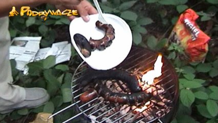 Frame from the video Ero piknik czyli dwie kiełbaski na jednym ruszcie