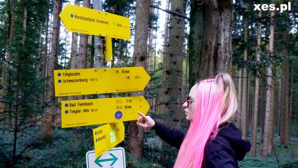 Frame from the video Wycieczka w Alpy